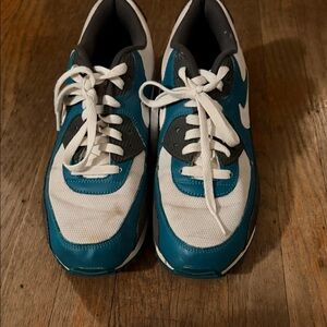 Nike Air Max (Men’s US 10.5)